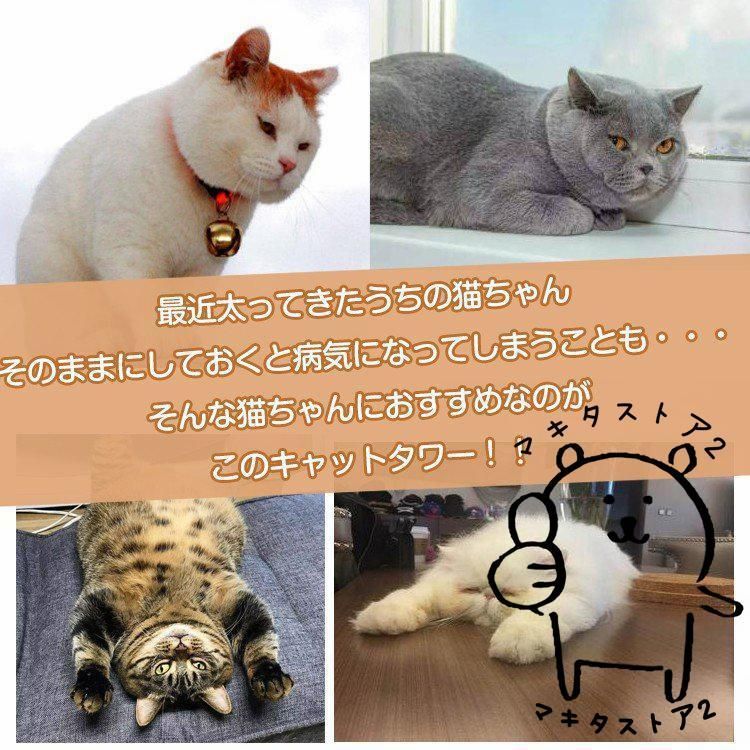 キャットタワー
