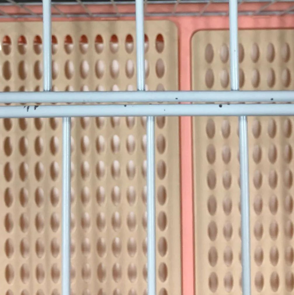 組み立てペットケージ