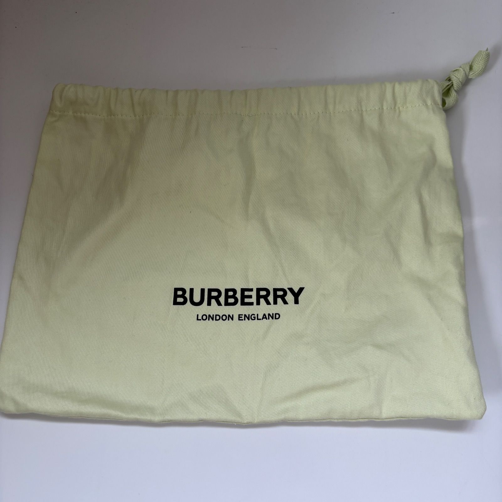 保存袋付き 美品 BURBERRY バーバリー 現行 TBロゴ ショルダー
