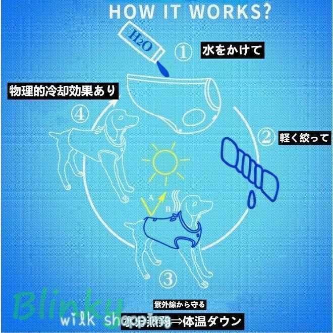 ストリップ
