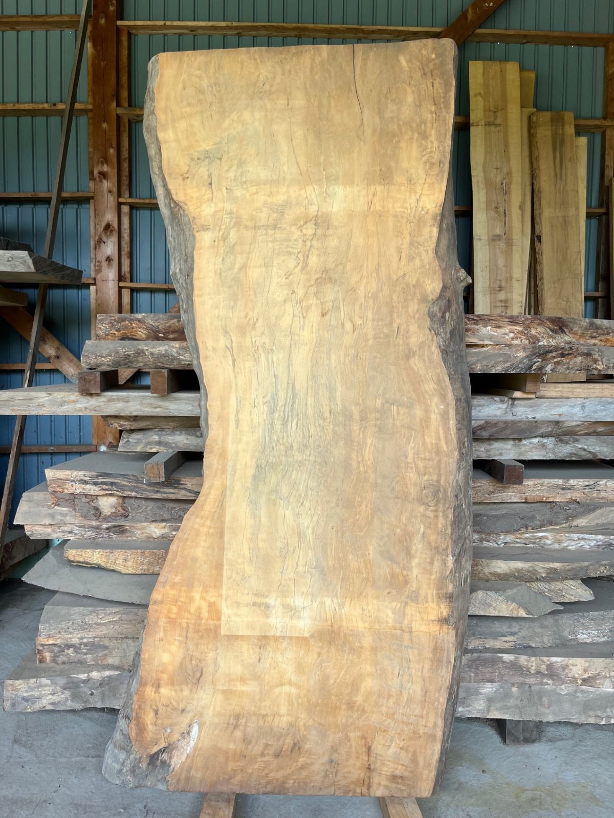 信じられる トチ 栃 一枚板 No.32 長さ2000 奥行770〜900 厚み85ミリ 天板木材 DIY材料