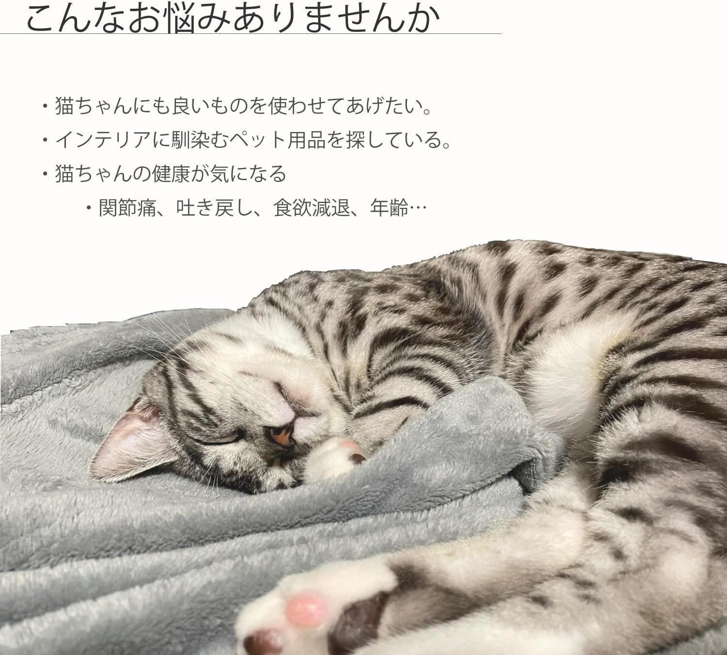 ねこちゃんテーブル km-124