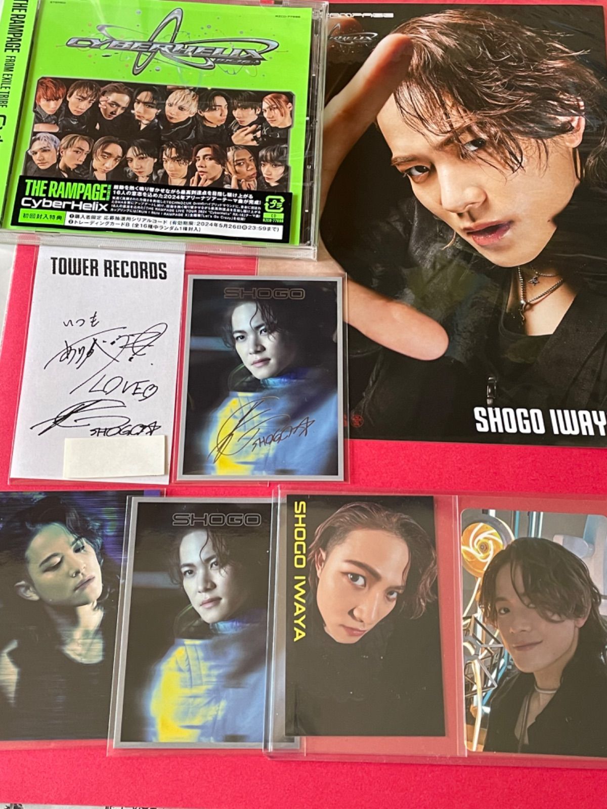 長谷川慎 アザージャケット 22枚 セット まとめ売り