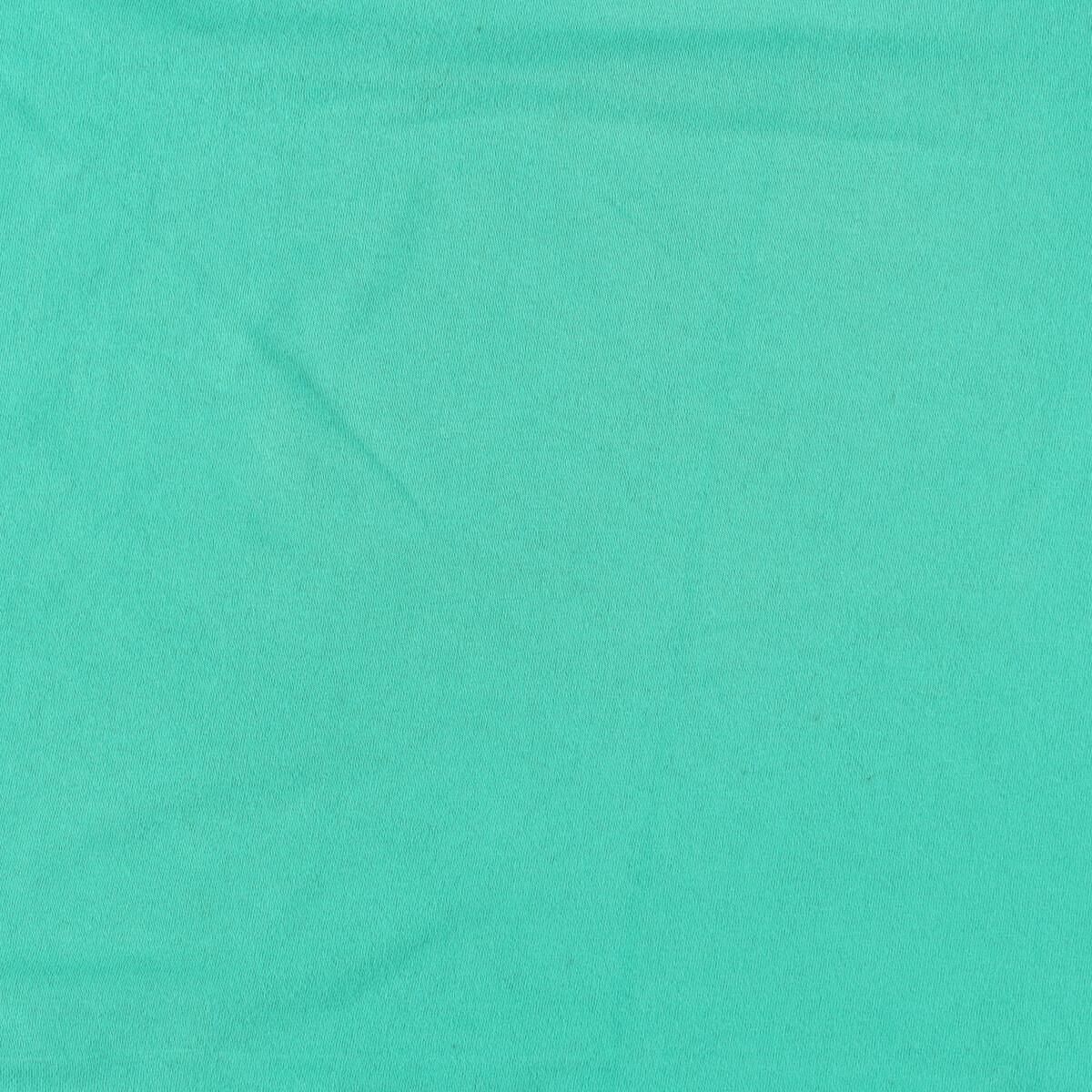 90年代 フルーツオブザルーム FRUIT OF THE LOOM 両面プリント プリントTシャツ USA製 メンズL ヴィンテージ /eaa326803