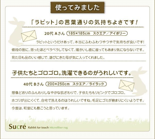 ラグマット スクエア 長方形 200×300cm Sucre ベージュ ラビットファータッチマイクロファイバーラグ Sucre シュクレ 代引不可 MARWIL-DEMENAGEMENTS_CH