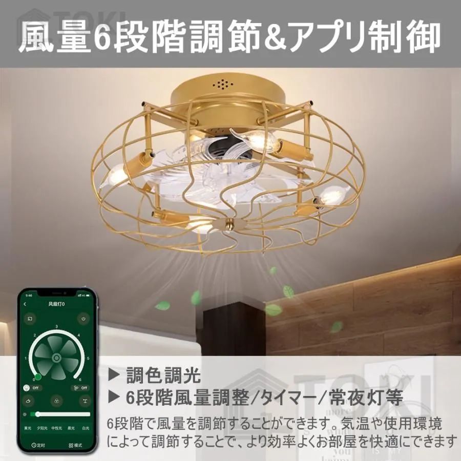シーリングファンライト