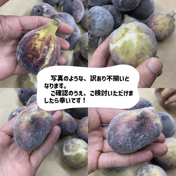 2025年産