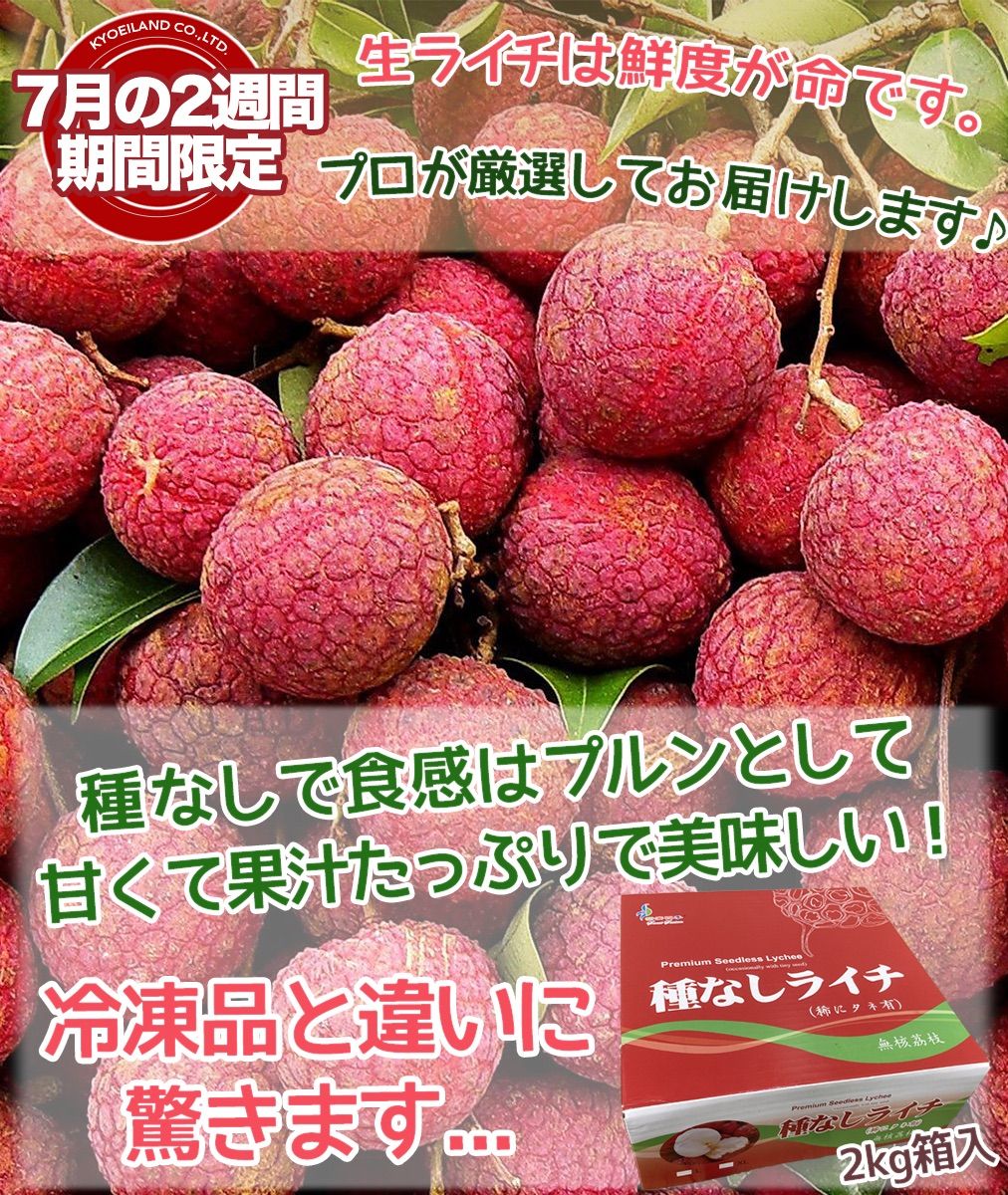 種無し生ライチ 約4kg 箱 80玉前後 超希少品種 中国産 種なし