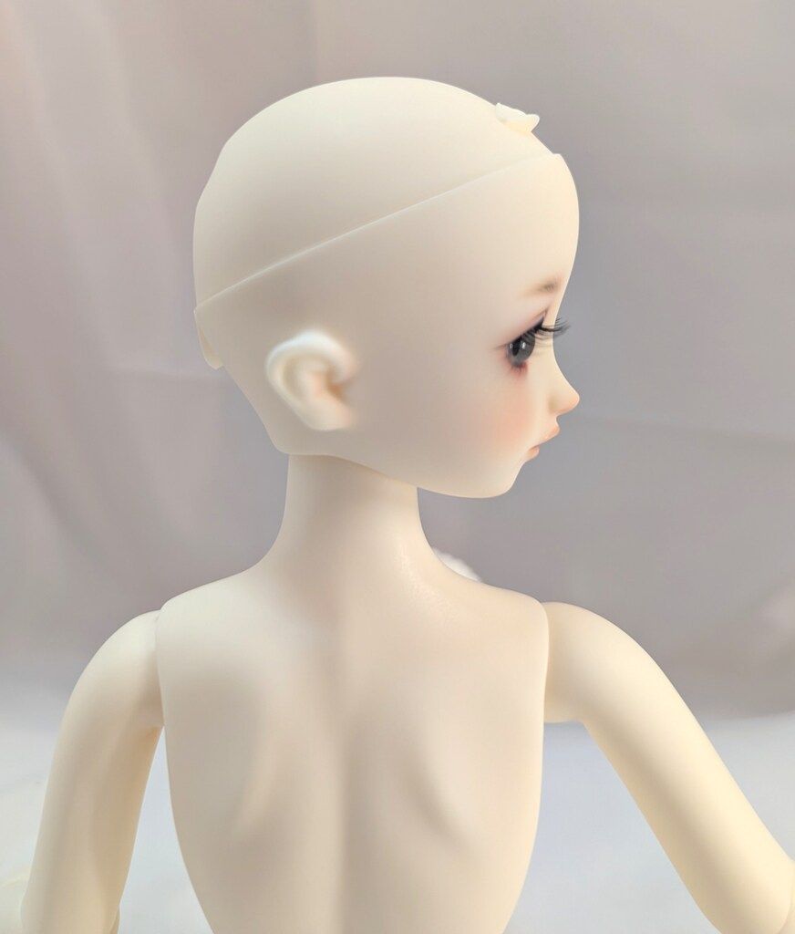 ボークス