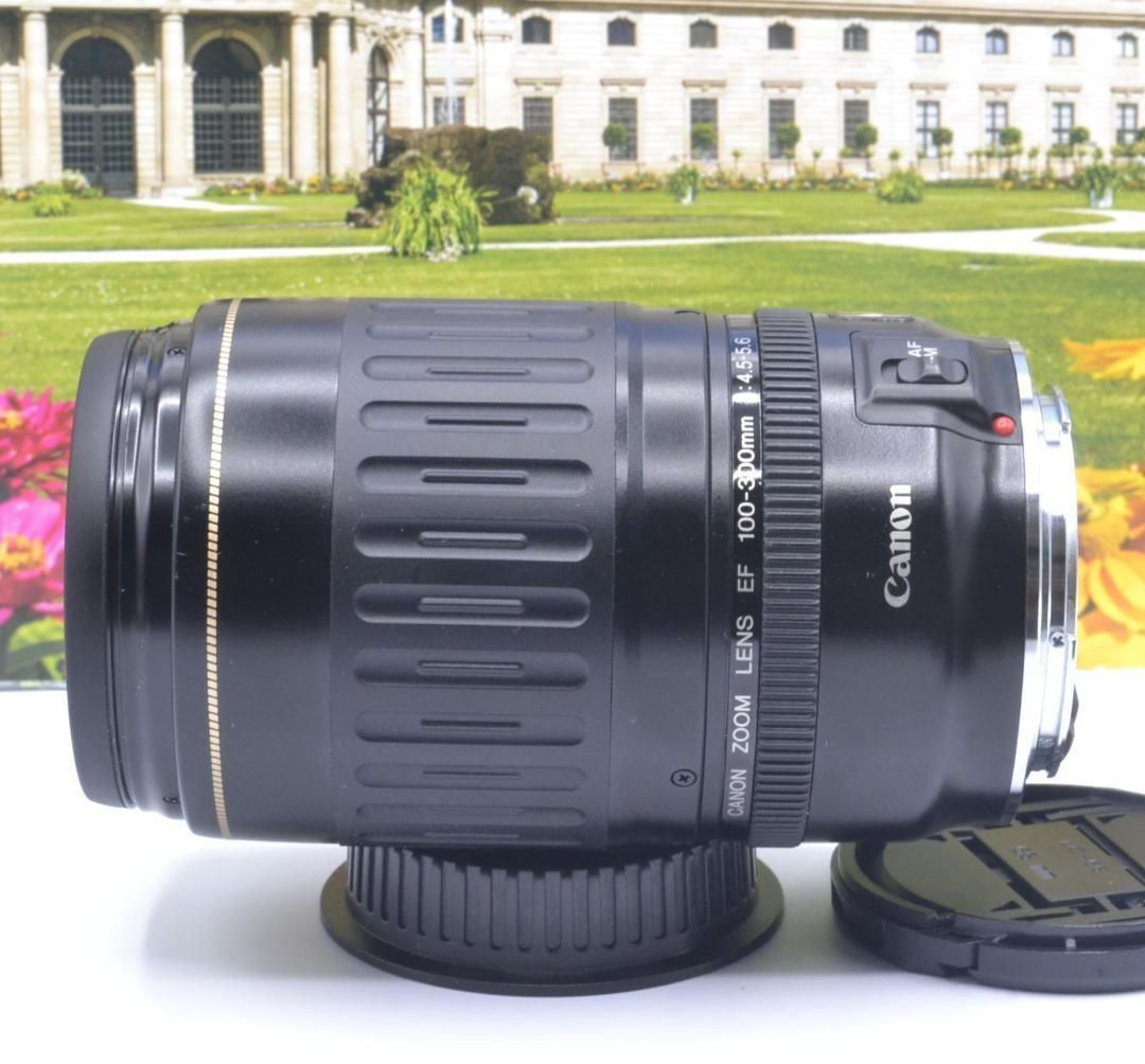 望遠を始めませんか！キヤノン望遠レンズ Canon EF100- 210mm - カメラ