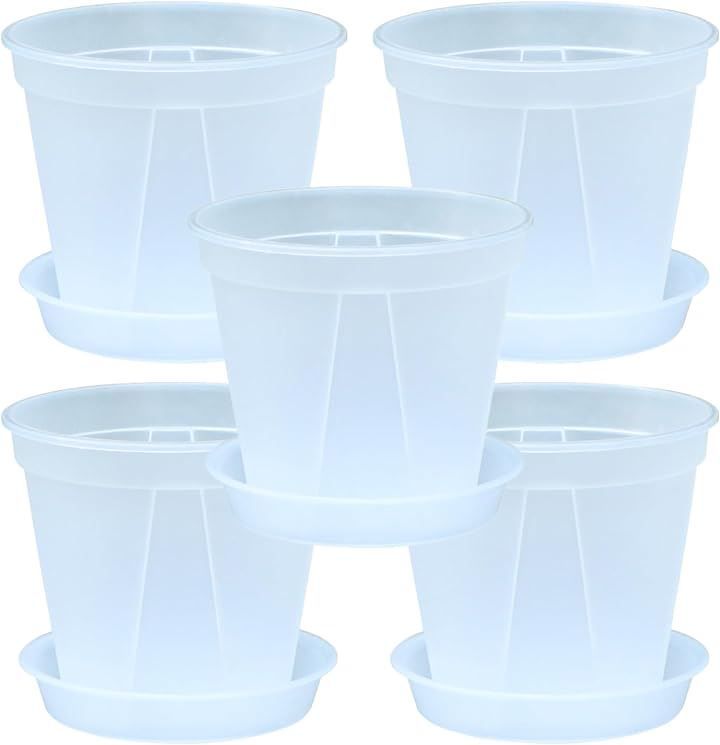 水引文組鉢(五客) 未使用 新品同様 som-023_faa3de25-8d78-4807-