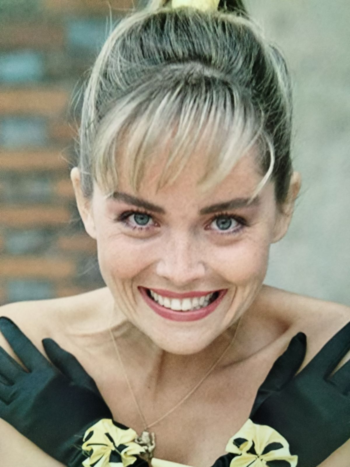 シャロン・ストーン直筆サイン入り特大写真…Sharon Stone…氷の微笑 ...