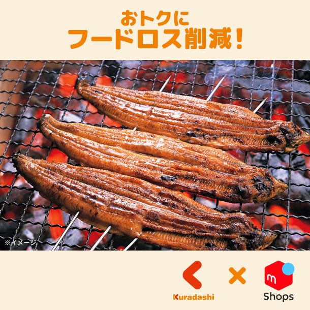 うなぎの蒲焼き