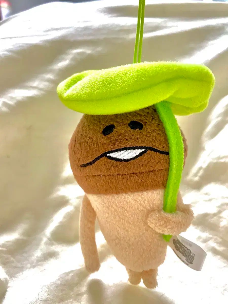 芽 なめこ 人形 キーホルダー