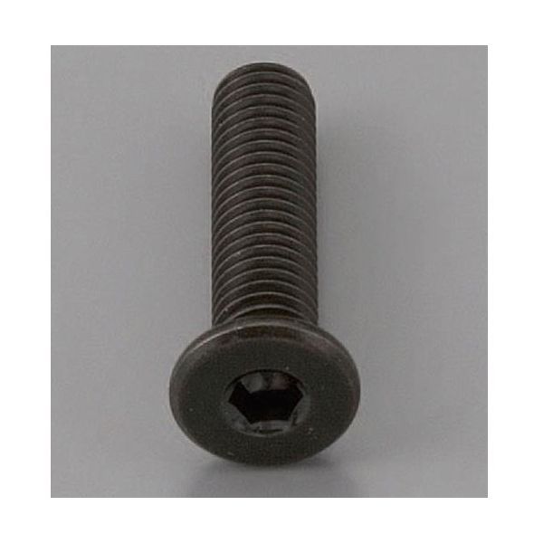【新品・７営業日以内発送】【個人宅配送】【即納在庫品】エスコ EA949MG-1250A M12x50mm 六角穴付ボルト 超低頭／クロメート／1本 EA949MG1250A【沖縄離島販売】