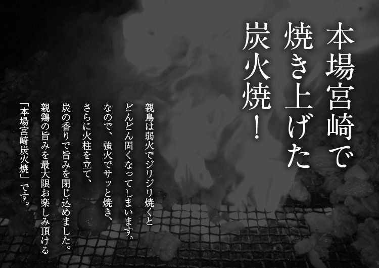 鶏の炭火焼き(親鶏) 100g×3袋 塩こしょう風味 送料無料 おつまみ 宮崎名物 地鶏 お試し 食品 肉 レトルト 珍味 [メール便]