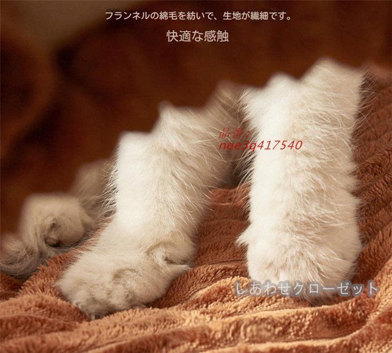 ハウス ハウス