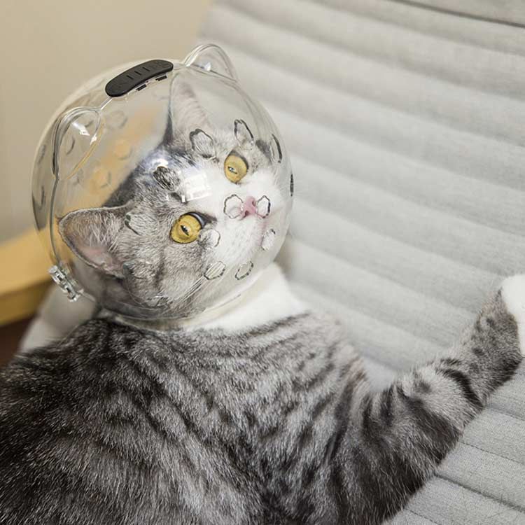 猫用マスク 口輪 透明 ペットマスク 宇宙ヘッドギア口輪 通気性