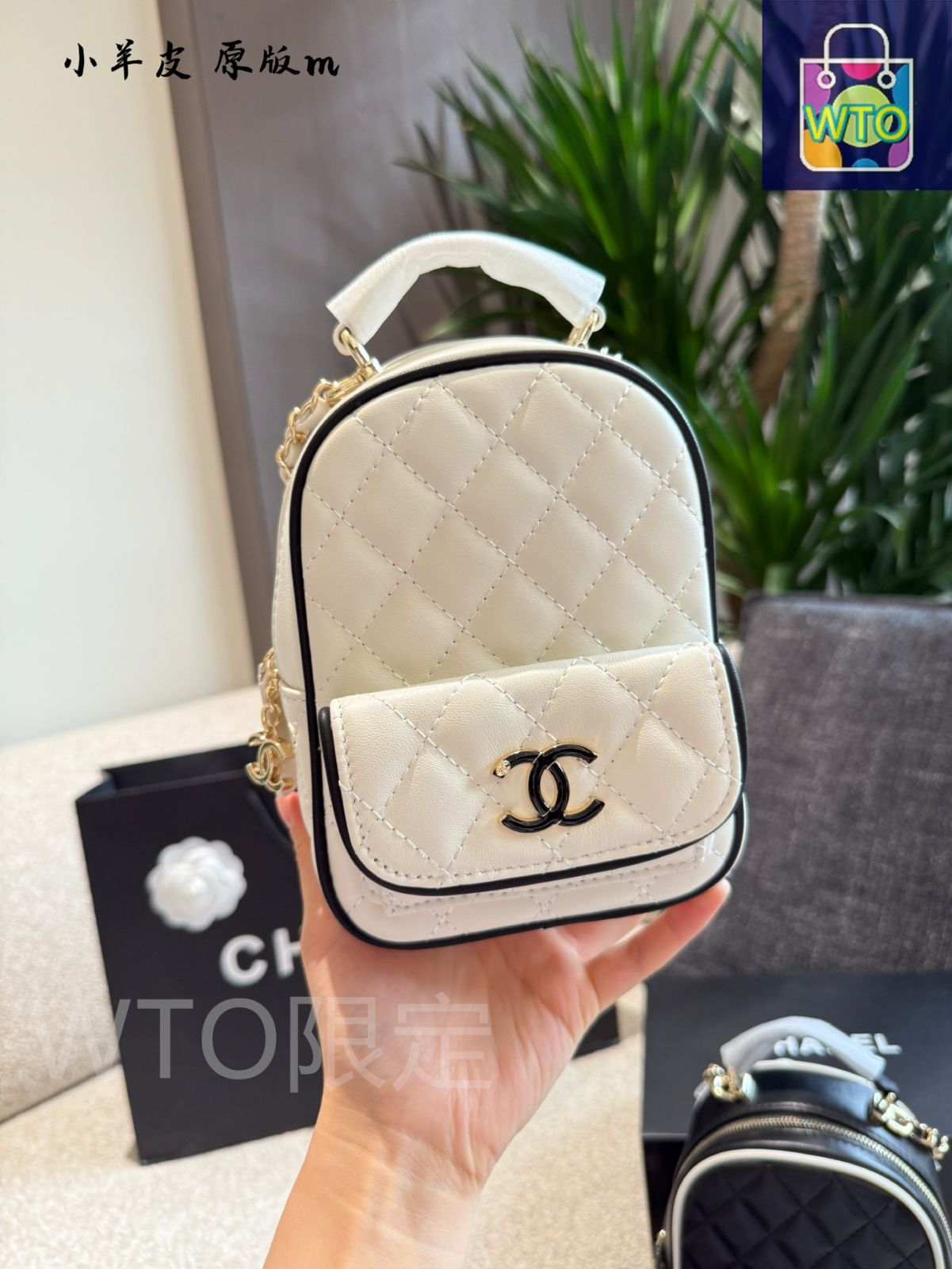 今日特価】Chanel Panda Color Multi-Function Mini Backpack