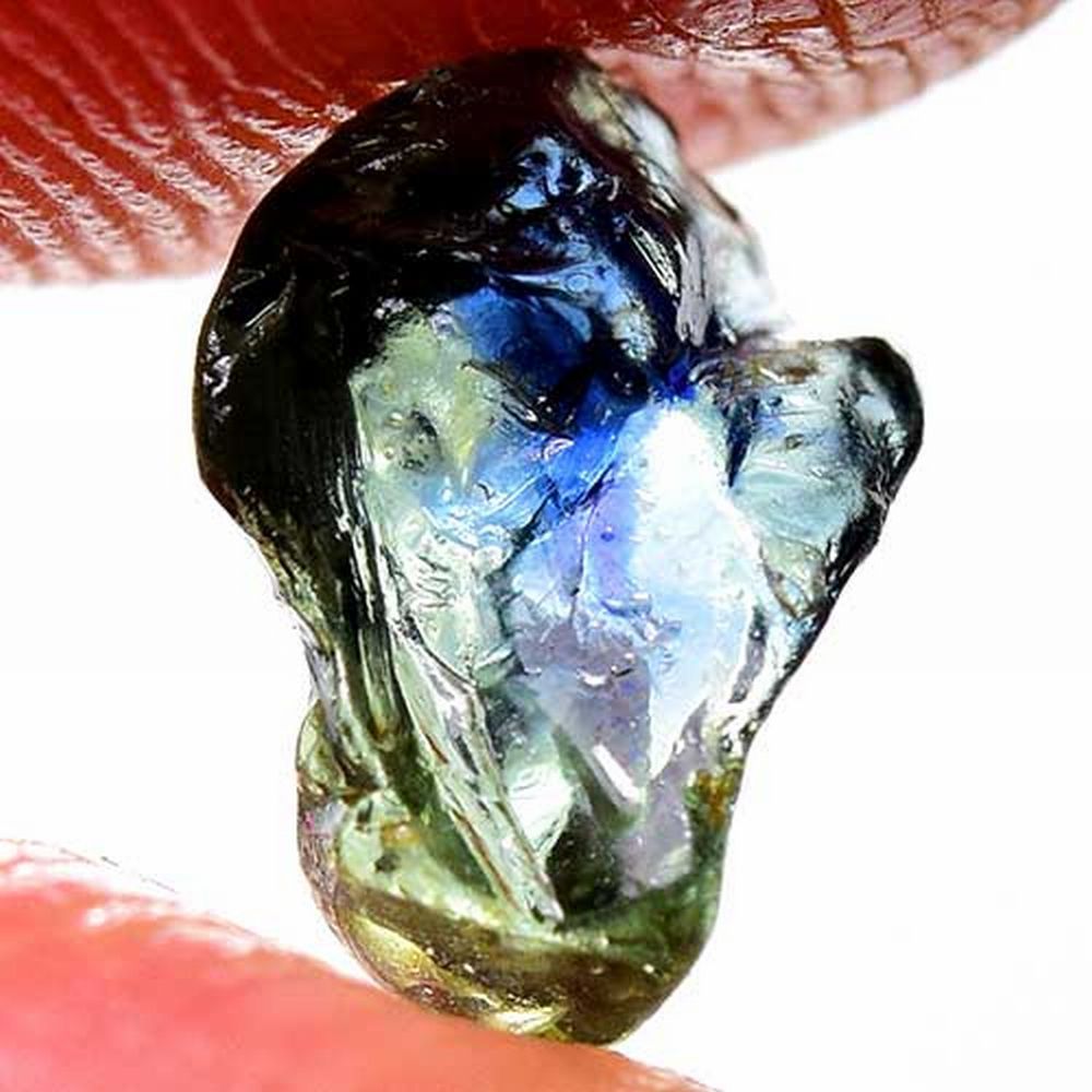 カラスザメ　標本 JAPAN LIMITED Cerakote Series 5B | ESSゴーグル・サングラス