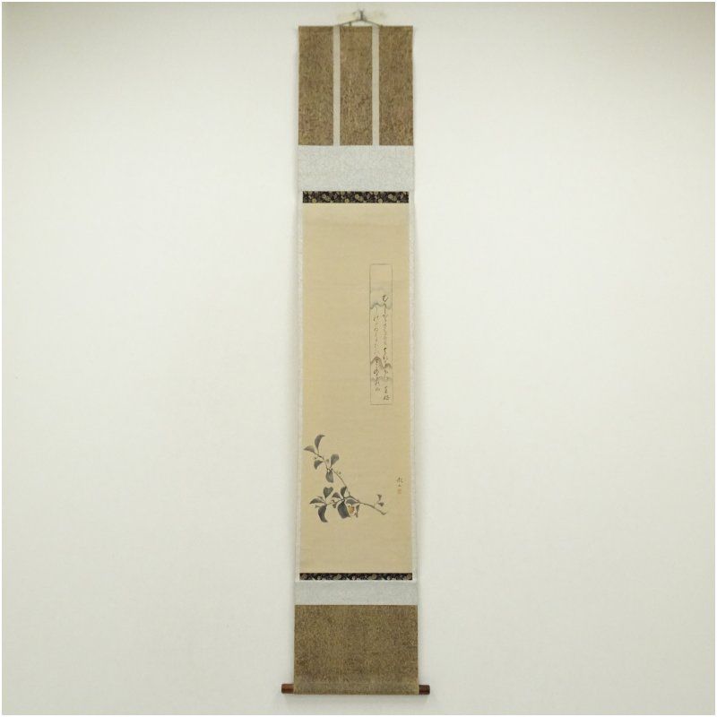森徹山筆 花図 熊谷直好賛 肉筆紙本掛軸 保護箱 掛け軸 床の間 書 おしゃれ 絵画 表具 芸術 茶道 年中掛け インテリア 茶掛 掛物 和室