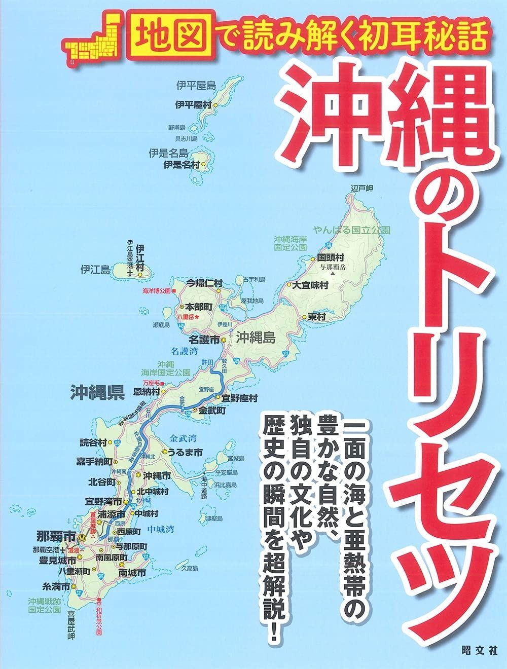  沖縄のトリセツ その他