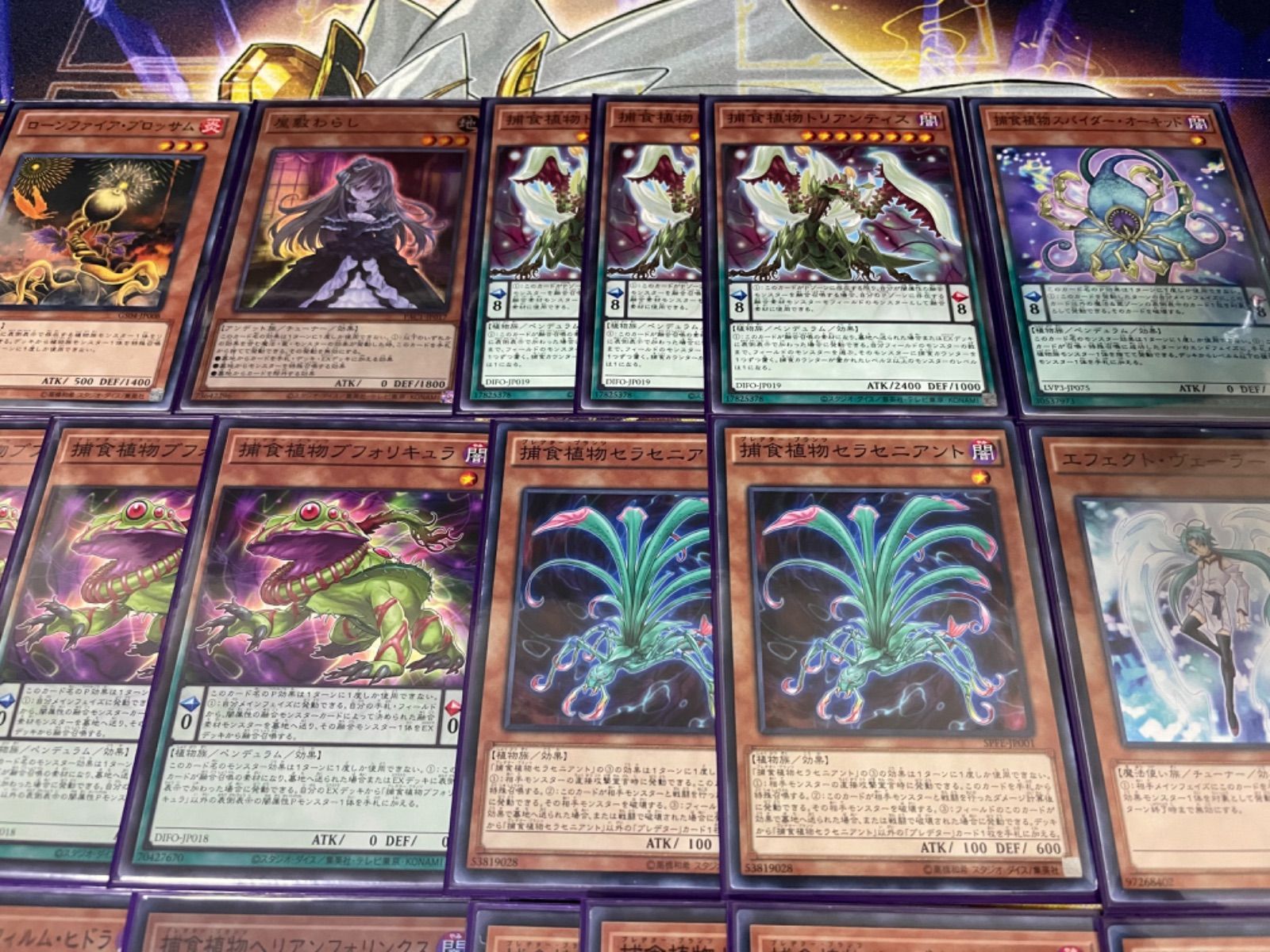 🔥1点のみ限定🔥捕食植物デッキ まとめ売り✨二重スリーブ - メルカリ