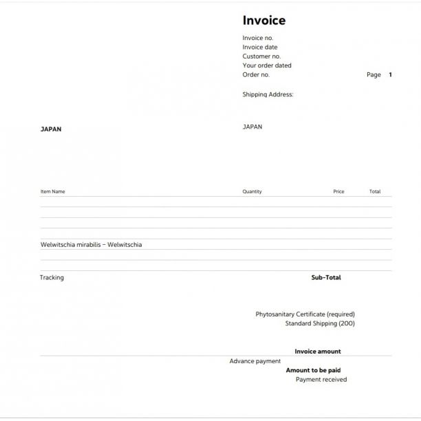 入荷 10粒 ウェルウィッチア ミラビリス 奇想天外 種子 種 証明書あり