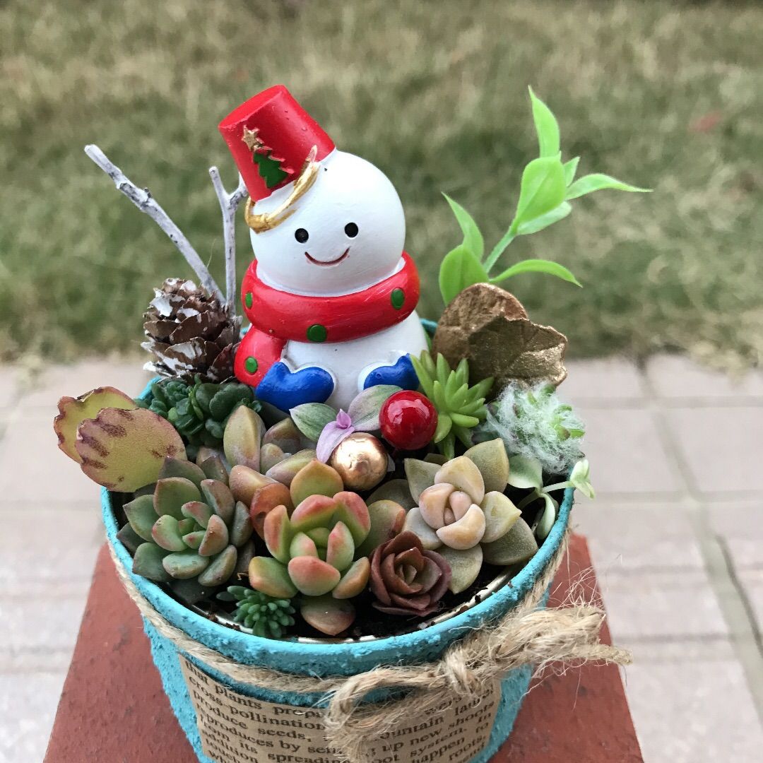 ♡そのまま飾れる♡リメ缶♬Xmas☆雪だるまの多肉植物寄せ植え♡ - メルカリ