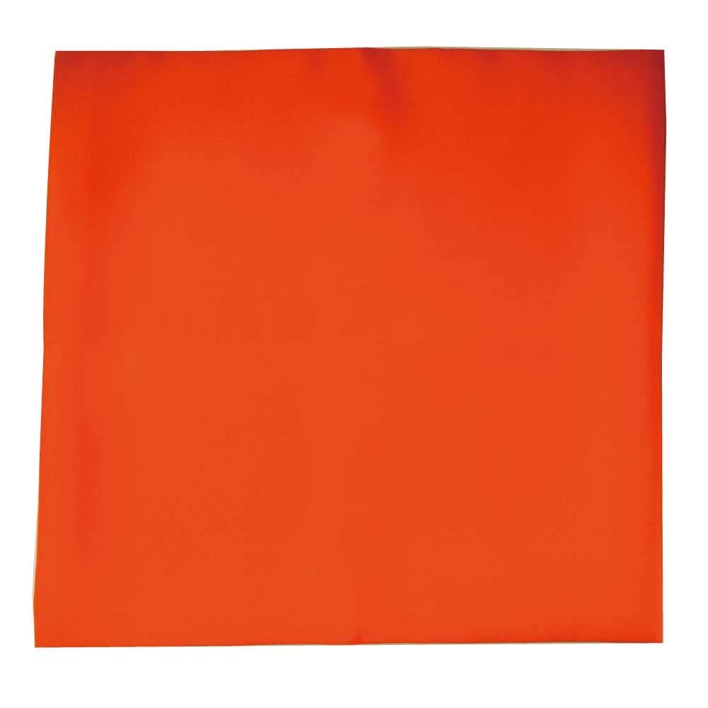 岡本肇「夢はでっかく欲はちっちゃく」直筆 書と絵画 額39×36絵27×24cm