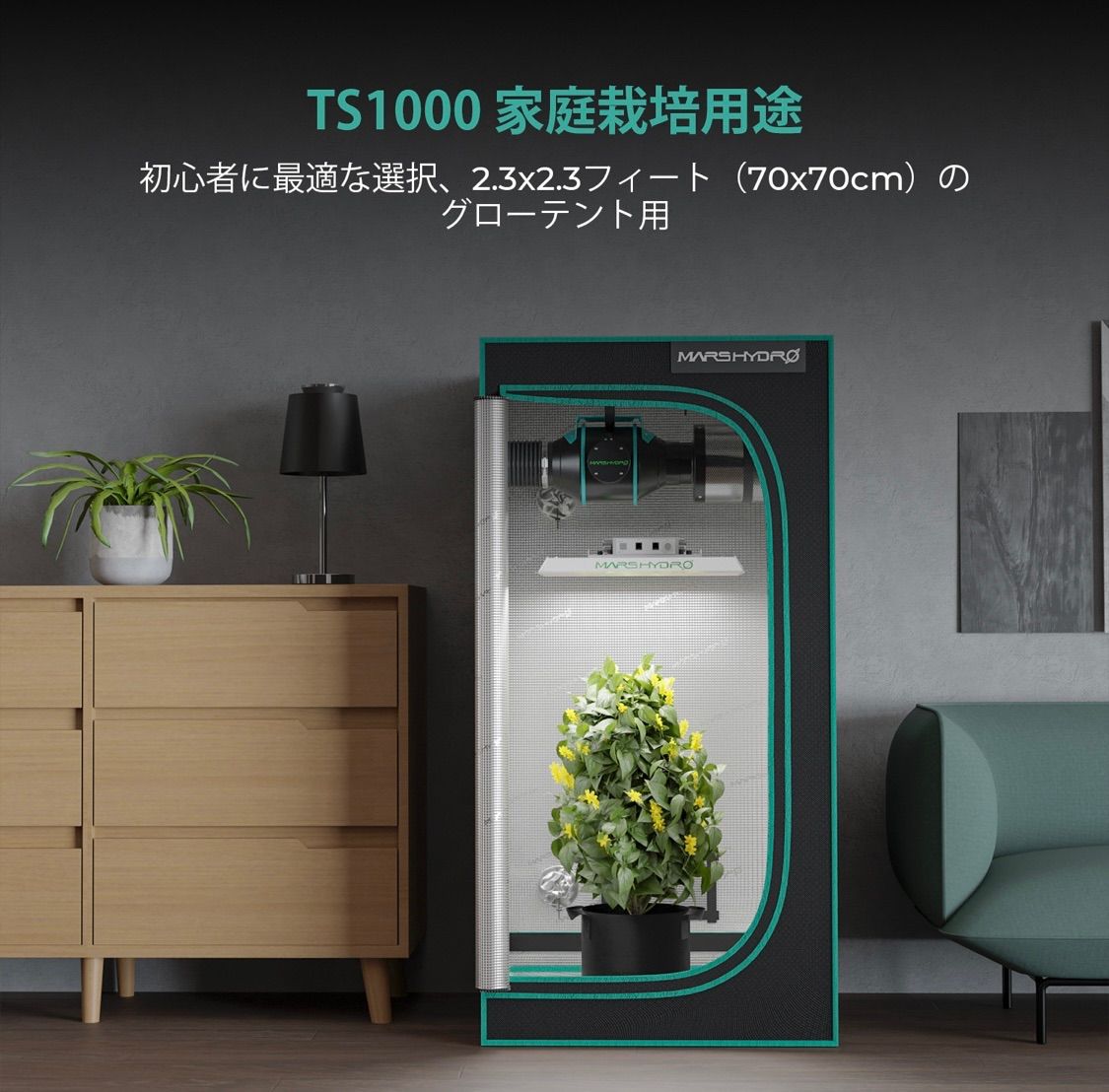 TS-1000