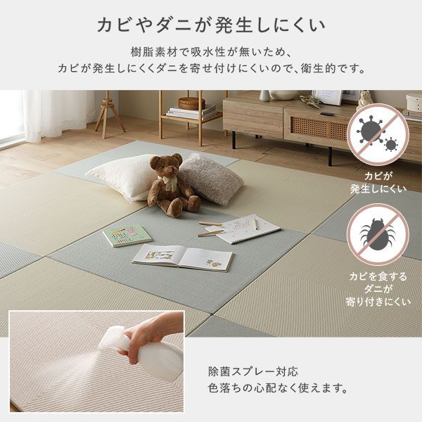 〔9枚セット〕 い草風