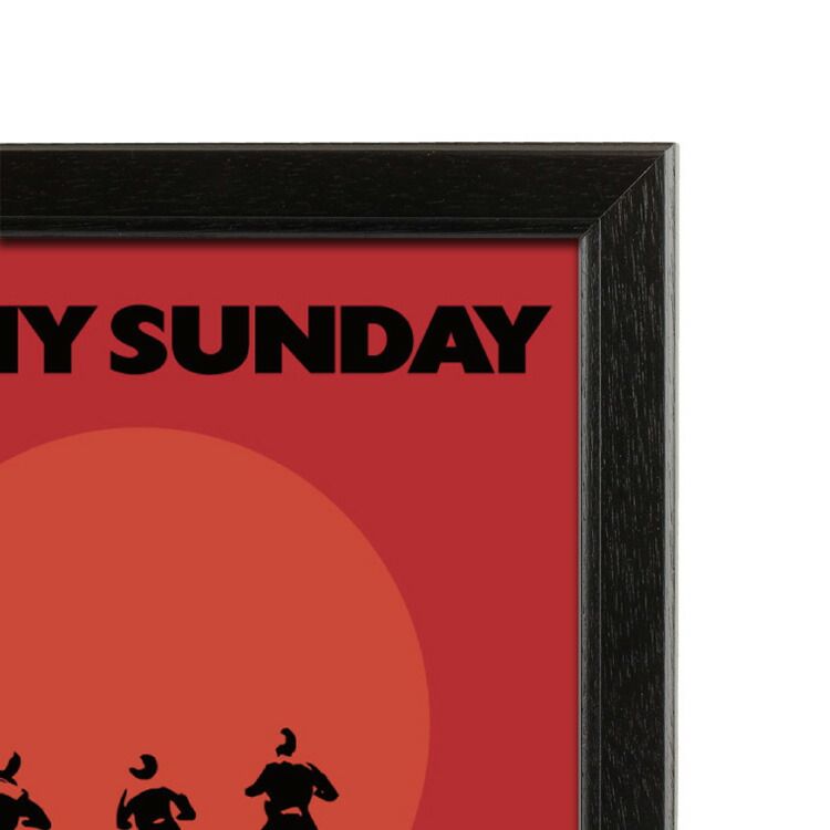 額入り映画ポスター ブルース・ブラウン On Any Sunday （Sun） （フレーム付きポスター） - メルカリ