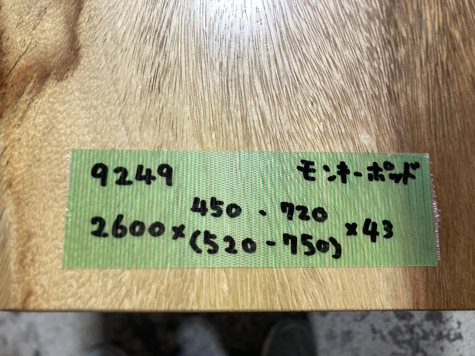 モンキーポッド9249