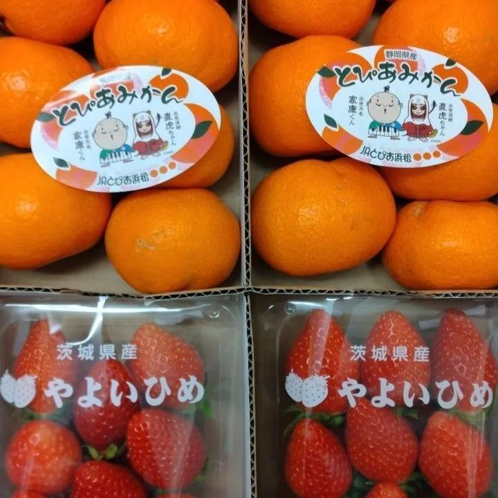 のサムネイル