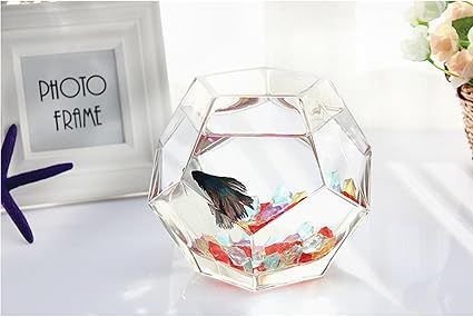 アクリル水槽、ぎんちゃん、 水作 水槽セット NEW きんぎょファミリー L 金魚 水槽 | チャーム