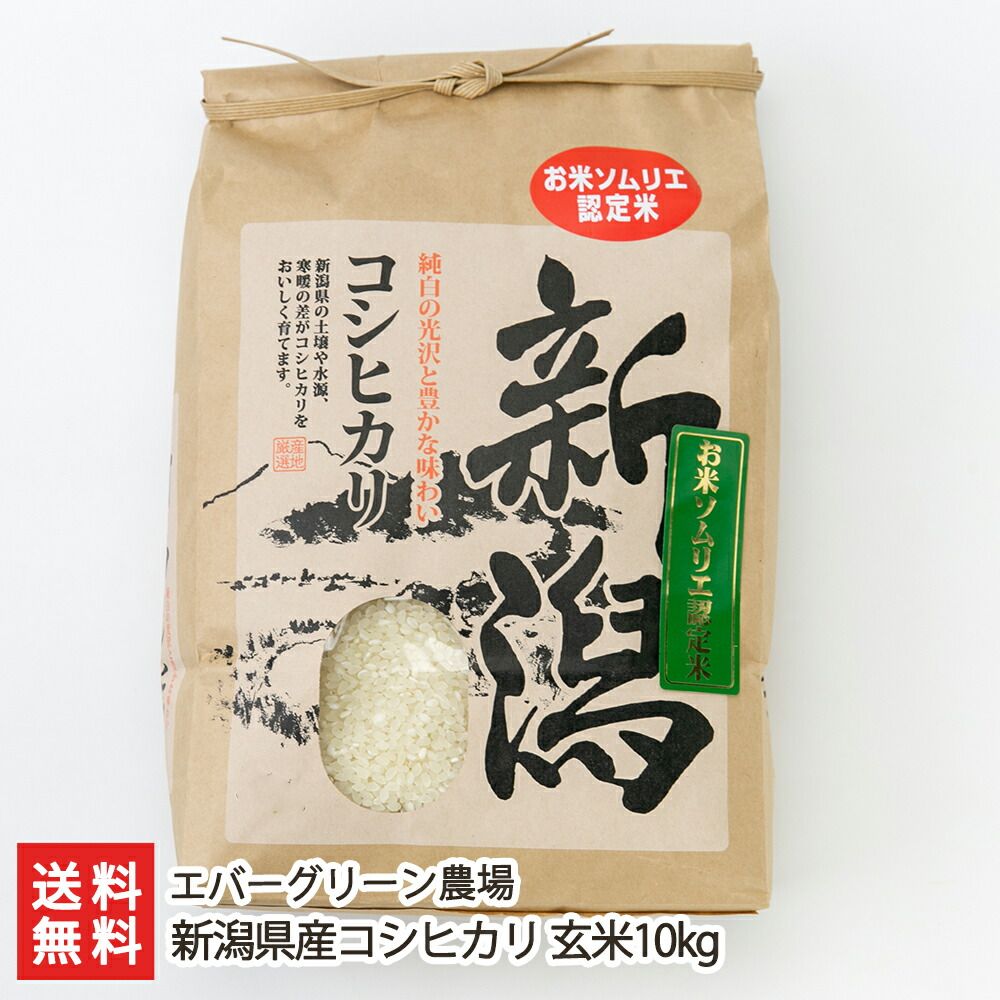 新潟県産 コシヒカリ 玄米 10kg 食品 新潟コシヒカリ玄米10キロ