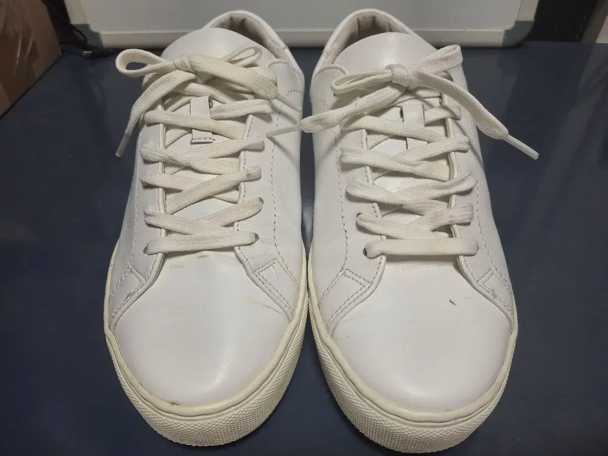BEAN POLE(ビーンポール) 255mm 出品