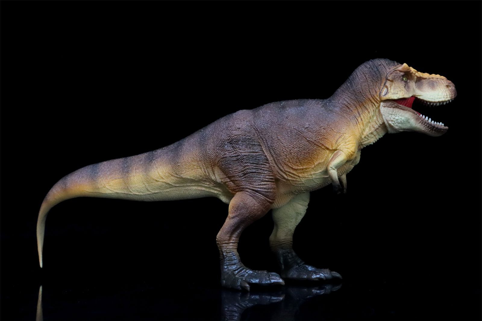 Eofauna 1/35 サイズ ティラノサウルス T-REX 恐竜フィギュア Amazon | BACALYSO |Eofauna 1/35 サイズ ティラノサウルス T