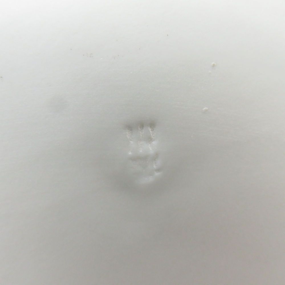 14cmプレート 小皿