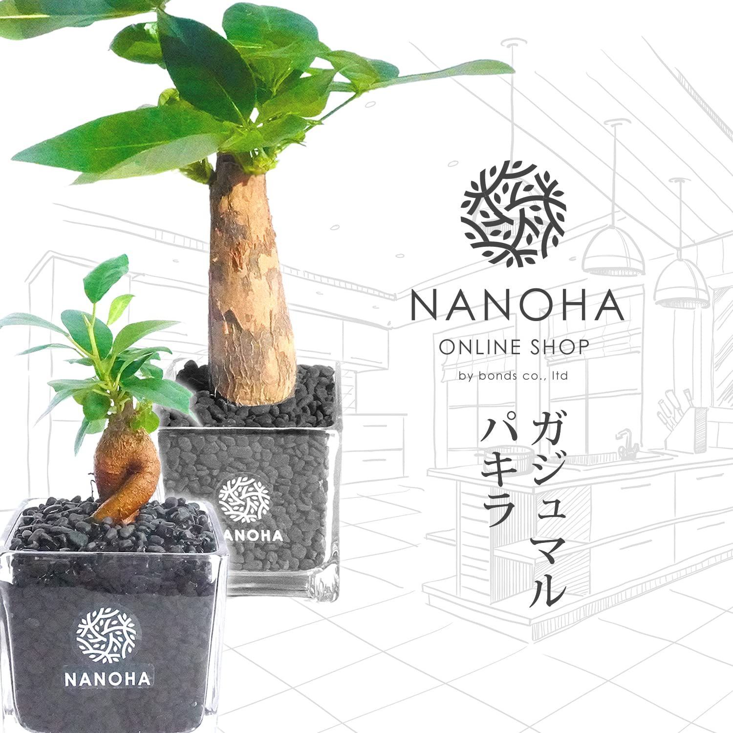 商品 インテリア