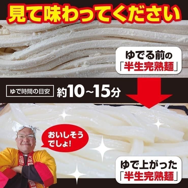 20時間熟成 半生 並麺 讃岐うどん つゆ付きセット 便利な個包装 750g 送料無料　A36