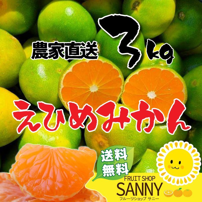 えひめ県産極早生みかん3kg - 果物