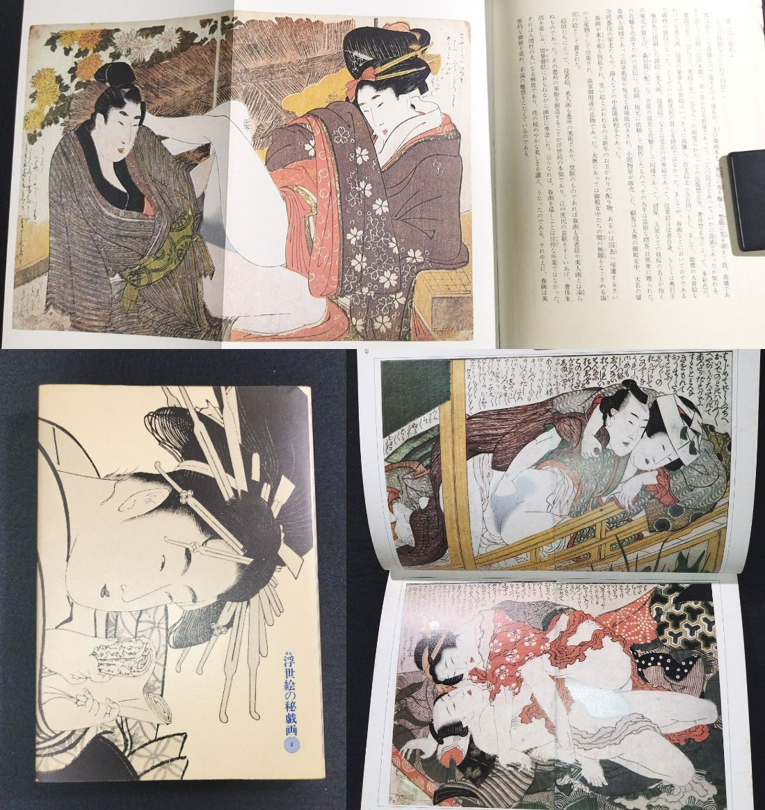 春画集 秘画◇浮世絵の秘戯画◇北斎 豊国 重信ほか 明治絵 艶本