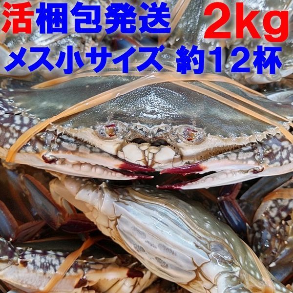 時期初め内子確率高めです】活梱包 「ワタリガニ メス小２ｋｇ」（約12杯）渡り蟹 ガザミ ケジャンにも！ - メルカリ