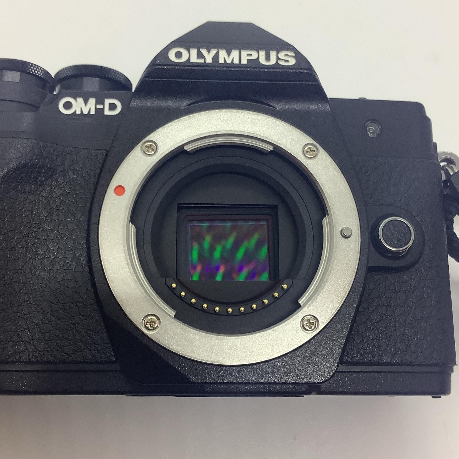 NikonZ5 フルサイズミラーレスボディ バッテリー＋ストラップ付属 動作