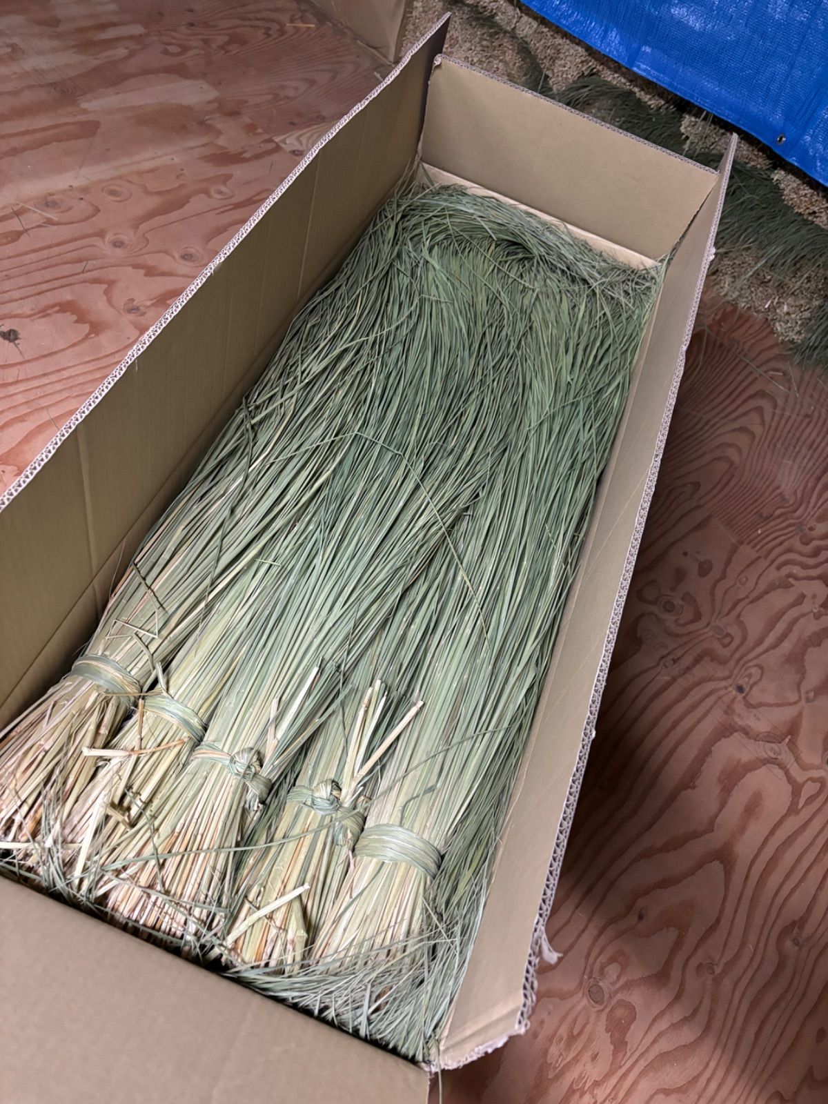 イナホ様専用 INAHO様専用