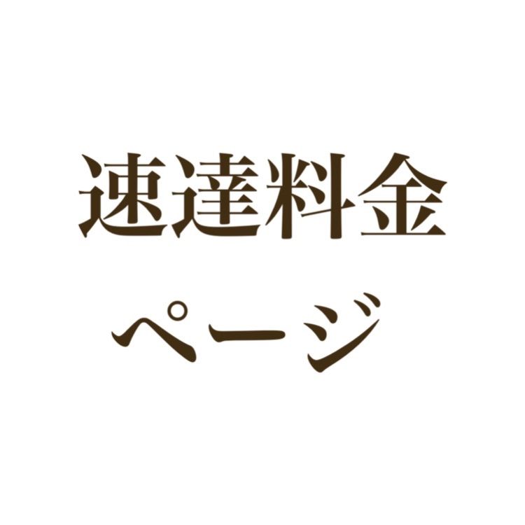 速達料金 ページ - メルカリ