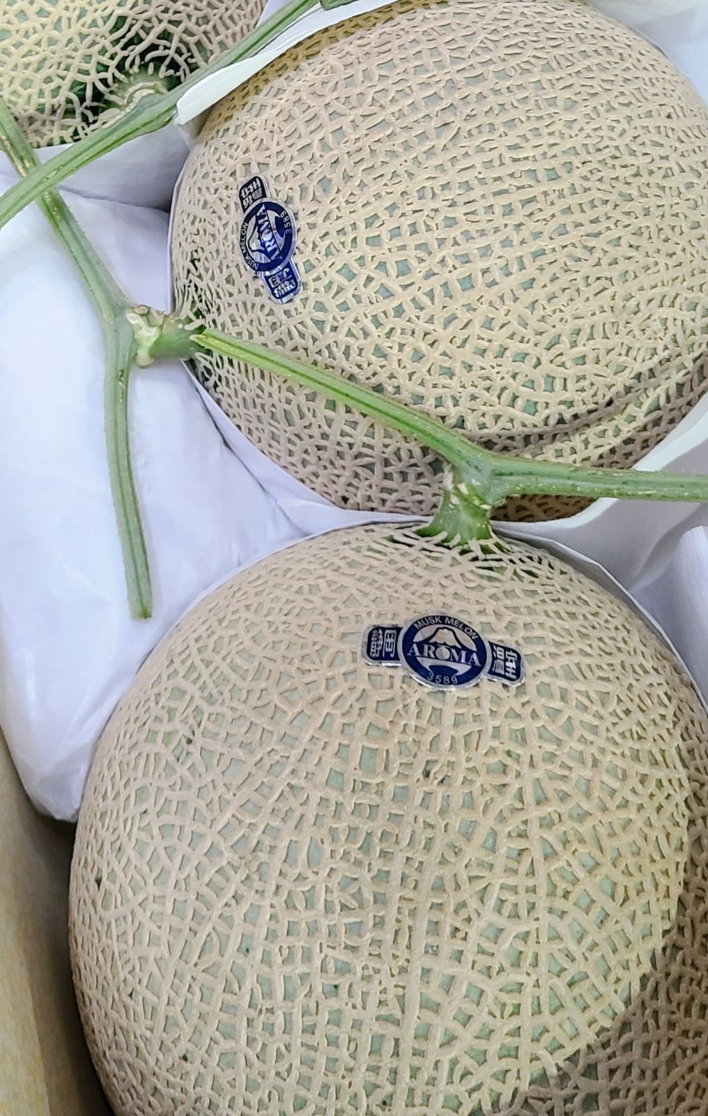 ［DFruitsセレクト］超大玉！４Lサイズ　アールスメロン（マスクメロン）　４玉入り産地箱［DFruits］(004)