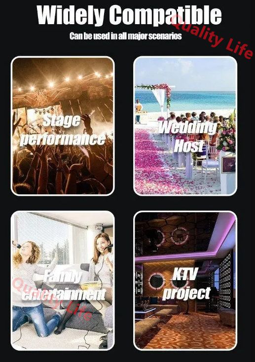 プロフェッショナル